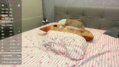 EstelaSinn live cam on Cam4