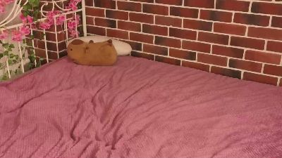 EuniceGustave live cam on Cam4
