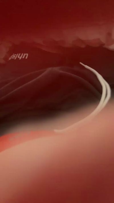 Preview of exdetenu90