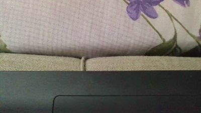 Exibidotdo23 live cam on Cam4