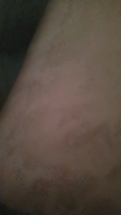 FIGARNIVORO91 live cam on Cam4