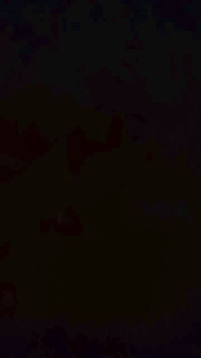 FIGARNIVORO91 live cam on Cam4