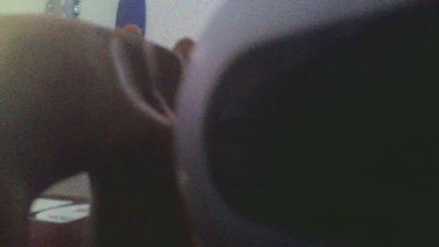 FSB1962 live cam on Cam4