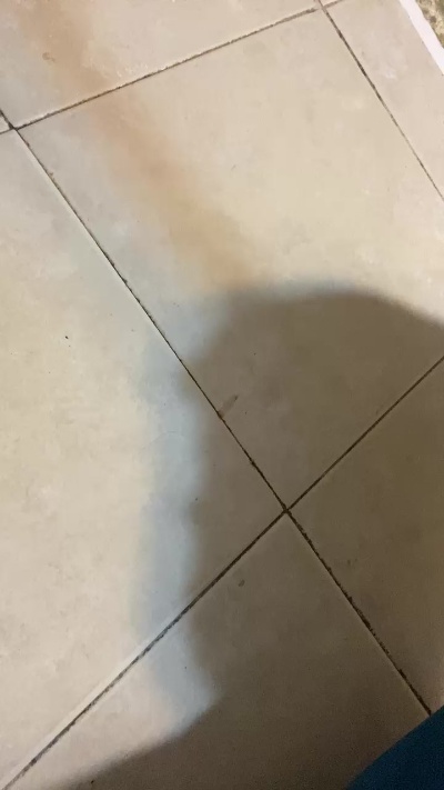 Preview of facundogigena