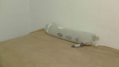 FairyAdil live cam on Cam4