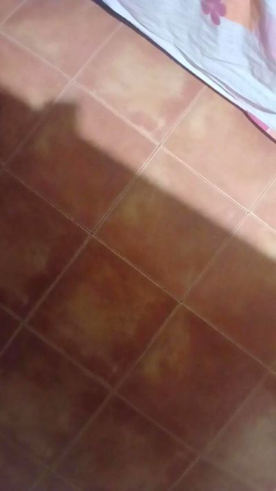 Falisan live cam on Cam4