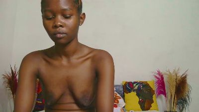 Fancyessy webcam