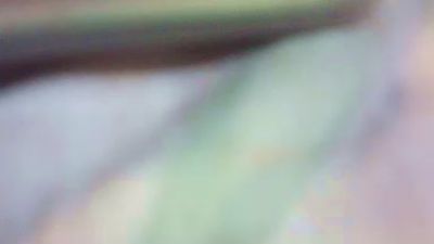 Farianna_hot live cam on Cam4