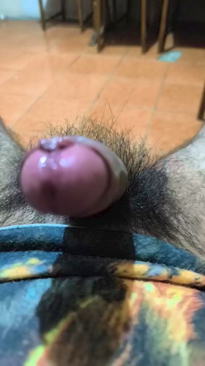 Felinoshere live cam on Cam4