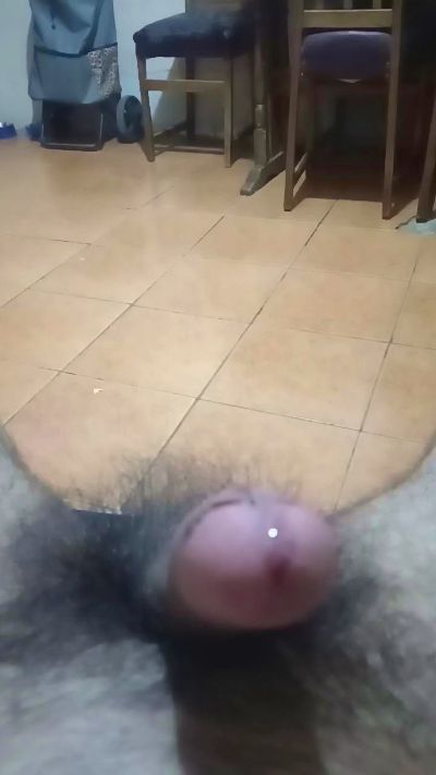 Felinoshere live cam on Cam4