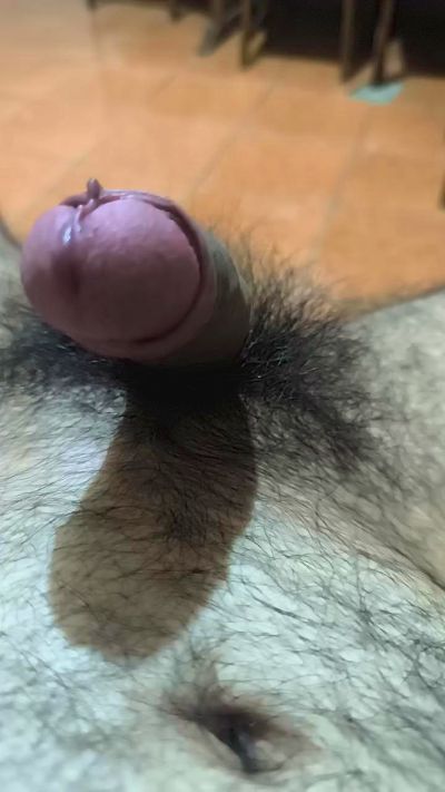 Felinoshere live cam on Cam4