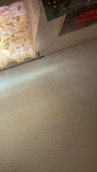 Preview of femboi_todd