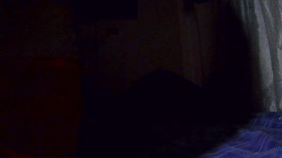 Femboidani live cam on Cam4