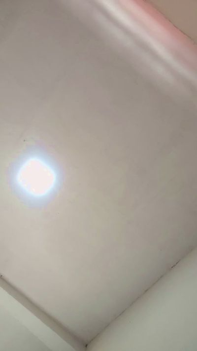 Profile and Statistics for Fenizzxxx on Cam4