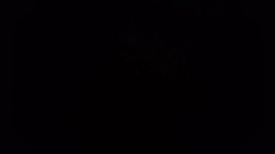Fernasexl live cam on Cam4