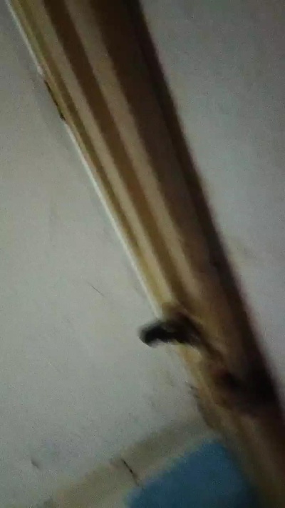 Ferndo2026 live cam on Cam4