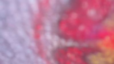 Fiorella_wish live cam on Cam4