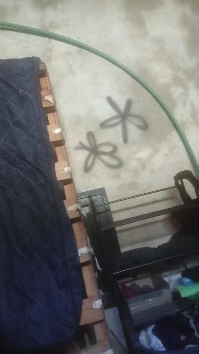 Profile and Statistics for Fireboy0704 on Cam4