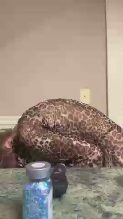 Firsttime_freak live cam on Cam4