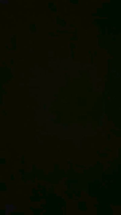 Flacogrues0 webcam