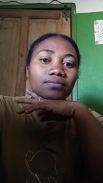 Preview of fleursauvage1