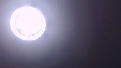 Floridaguy0217 live cam on Cam4