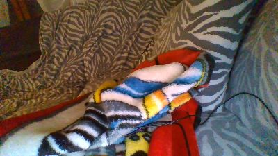 Franca live cam on Cam4