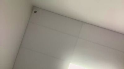 Preview of freddybobby