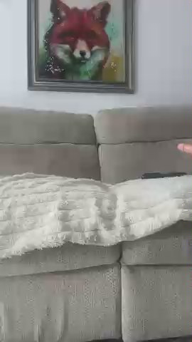 Funycouple80 live cam on Cam4