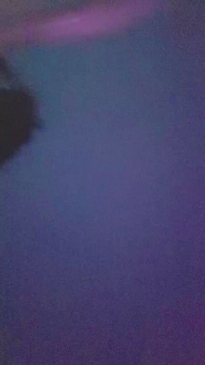 GUSHII webcam