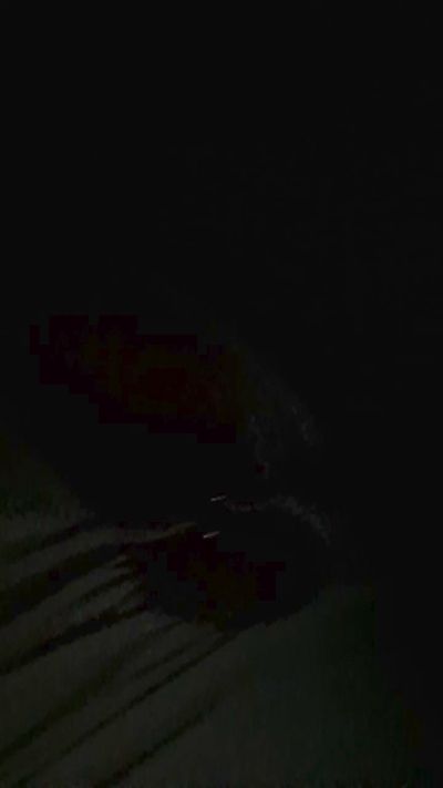 Gabbbi live cam on Cam4