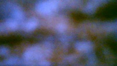Gabbitrans live cam on Cam4