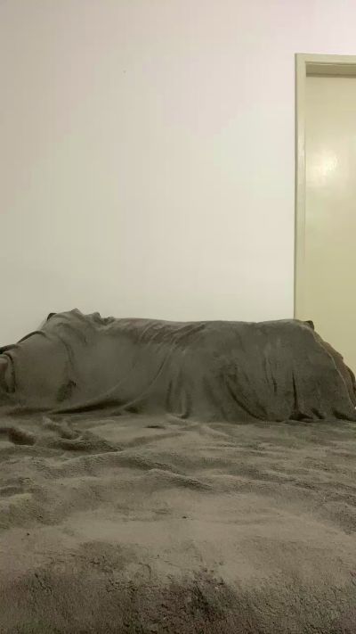 Profile and Statistics for GabrielHass on Cam4