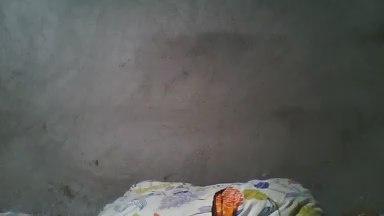 Gastelle live cam on Cam4