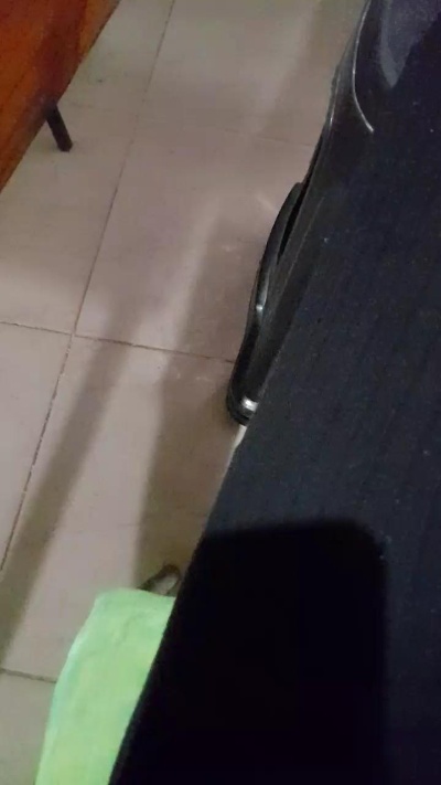 Gataonlyxx webcam