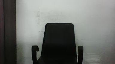 GatoCampinas79 live cam on Cam4