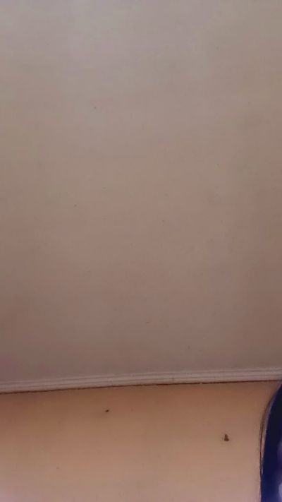 Gatotagatita live cam on Cam4