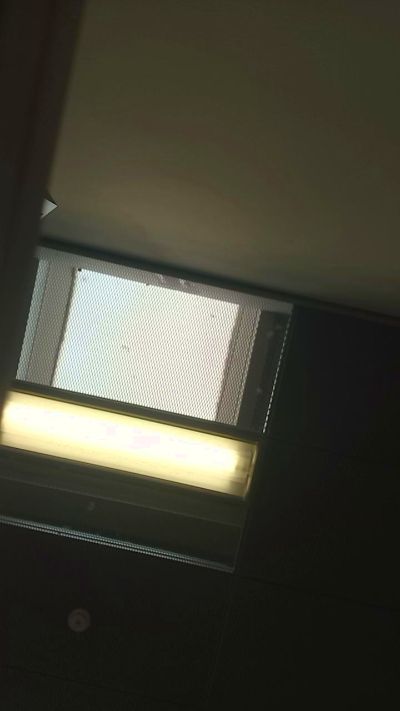 Profile and Statistics for Gaypussih on Cam4