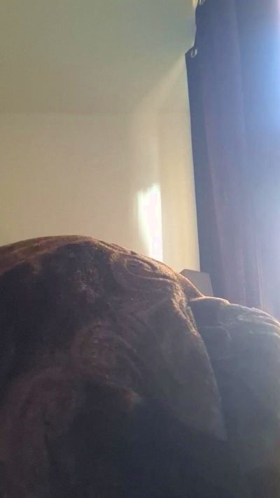 Gcoquin95 live cam on Cam4