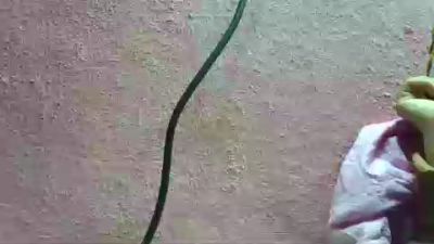 Georgina96 live cam on Cam4