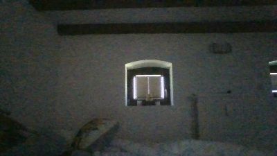 Germany83HB live cam on Cam4