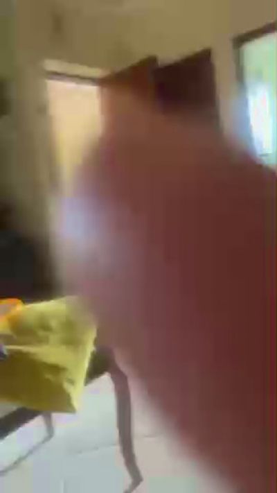 Gervytrevy live cam on Cam4