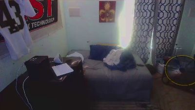 Get_jiggy69 live cam on Cam4