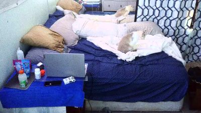 Get_jiggy69 live cam on Cam4
