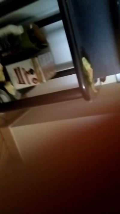 Geusii live cam on Cam4