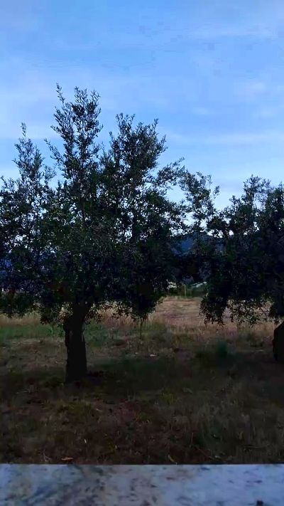 Geusii live cam on Cam4