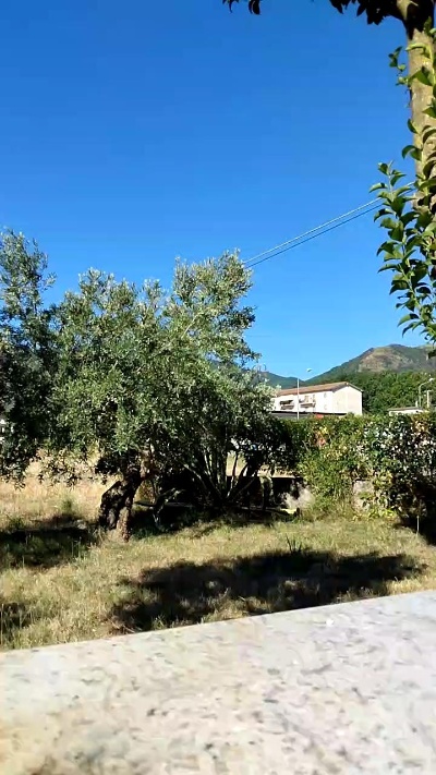 Geusii live cam on Cam4
