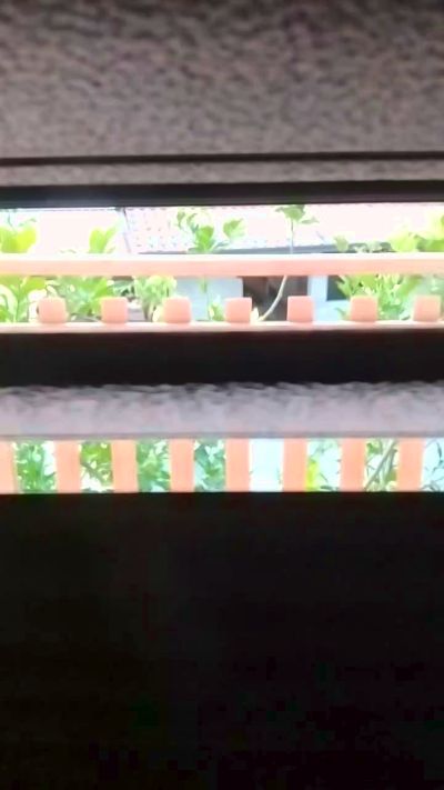 Geusii live cam on Cam4