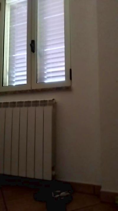 Geusii live cam on Cam4