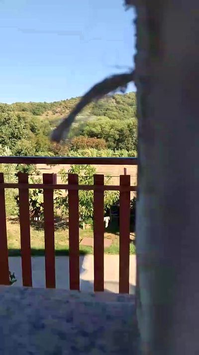 Geusii live cam on Cam4
